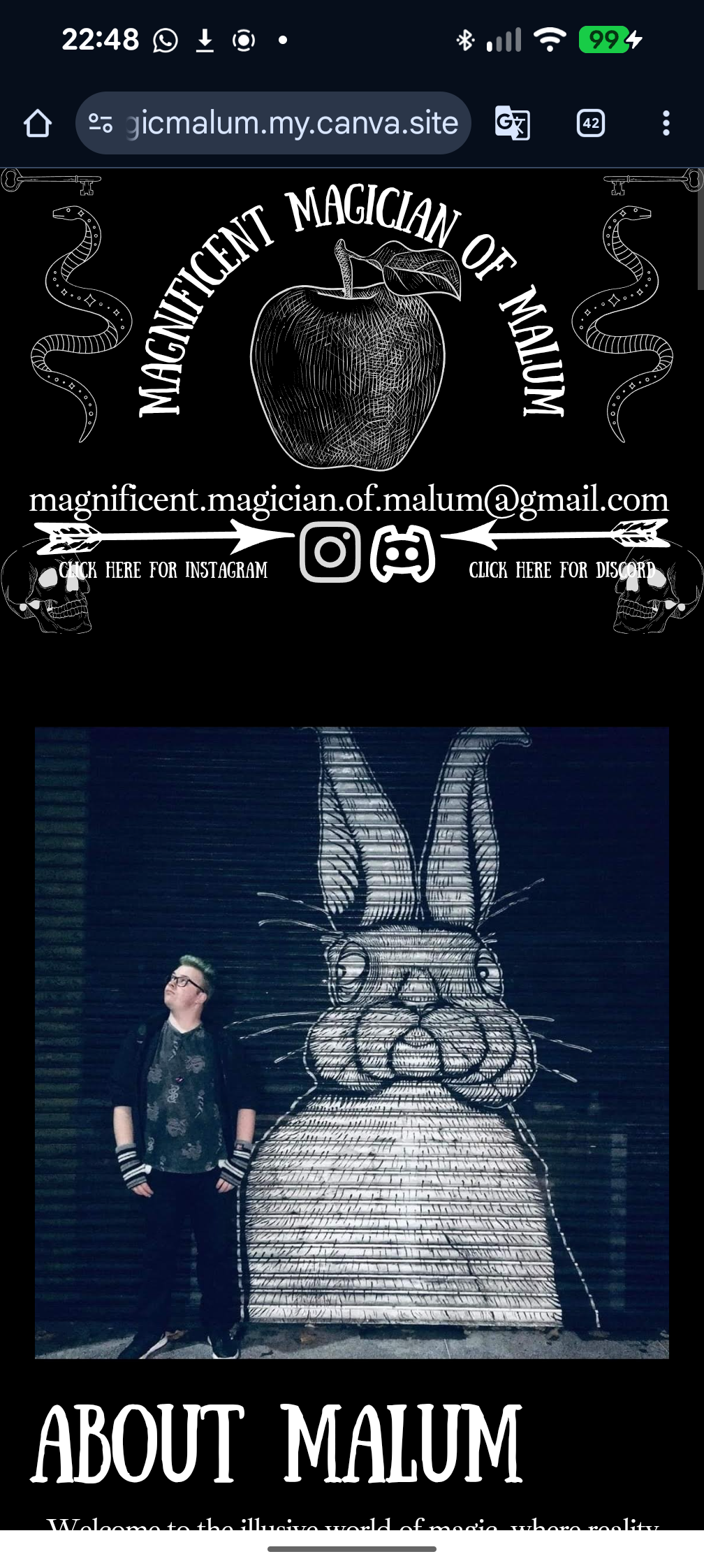 Magnificent Magician of Malum